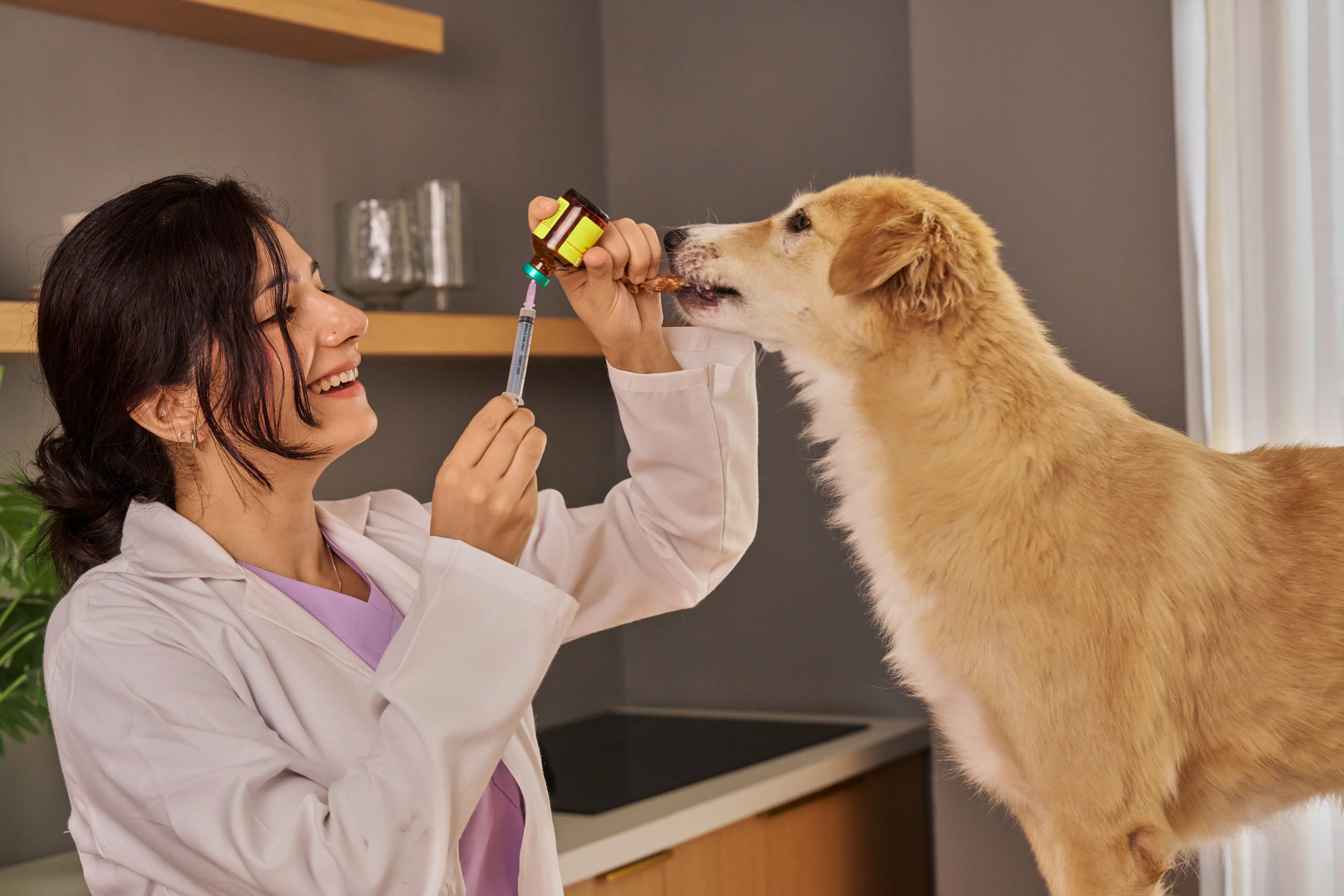 Art Direction for Canva